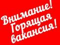 Работа в интернете с официальным доходом