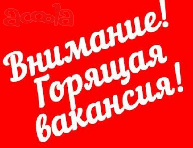 Работа в интернете с официальным доходом